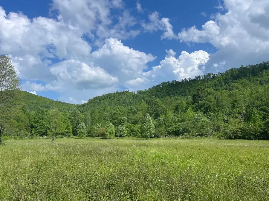 155 Cedar Cliff Lane, Murphy, NC 28906 - #2