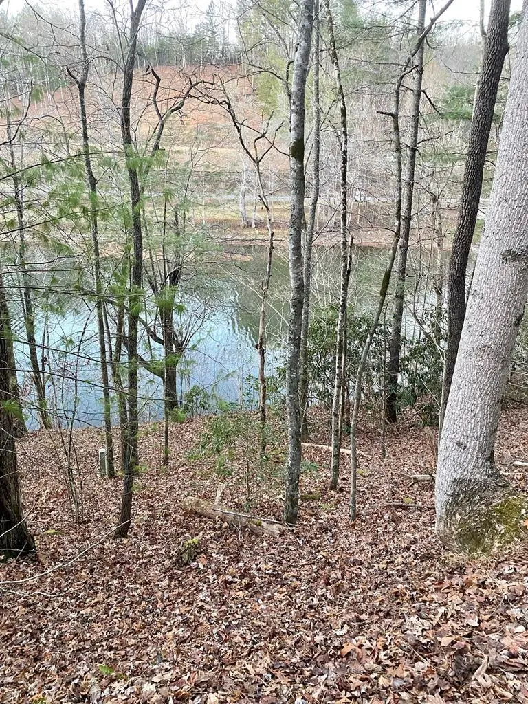 Lot 5 The Landings, Robbinsville, NC 28771 - #2