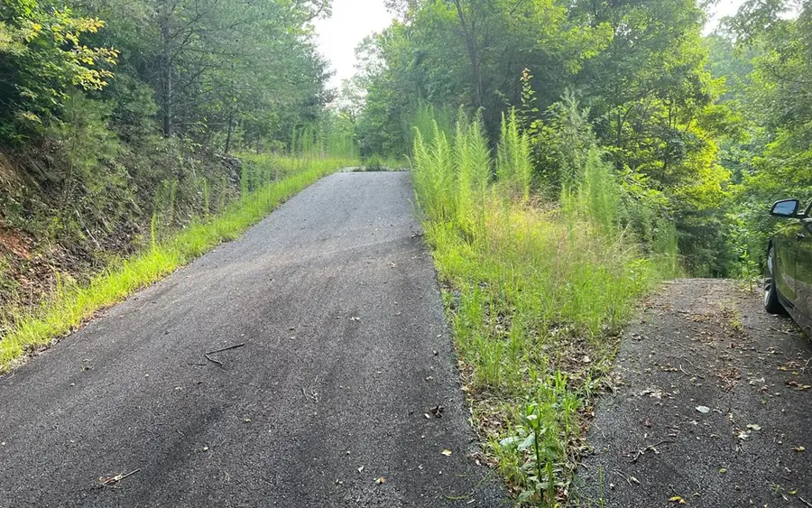 Lot 11 The Preserve, Brasstown, NC 28902 - #3