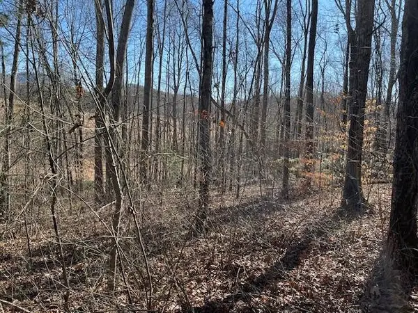 Lot 2E The Woodlands, Hayesville, NC 28904