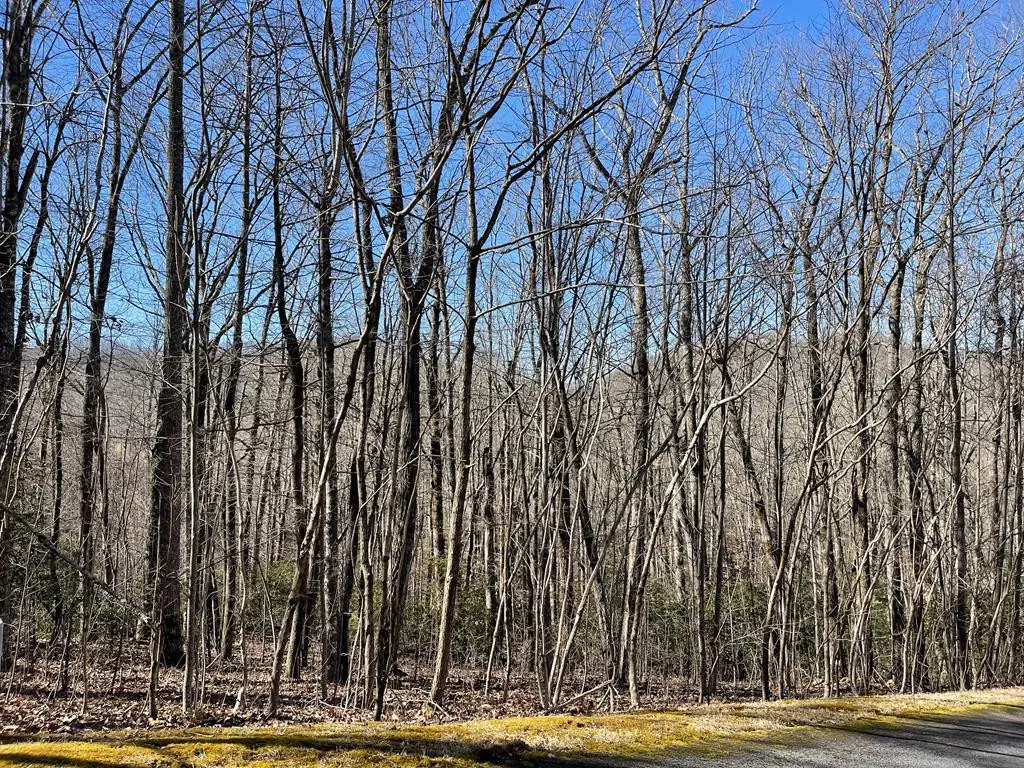 Lot 34j Ash Branch Road, Hayesville, NC 28904 - #1