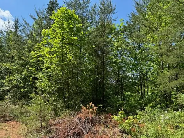 Lot 11 Paradise, Marble, NC 28905