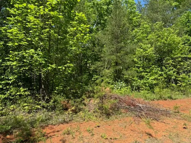 Lot 11 Paradise, Marble, NC 28905 - #3