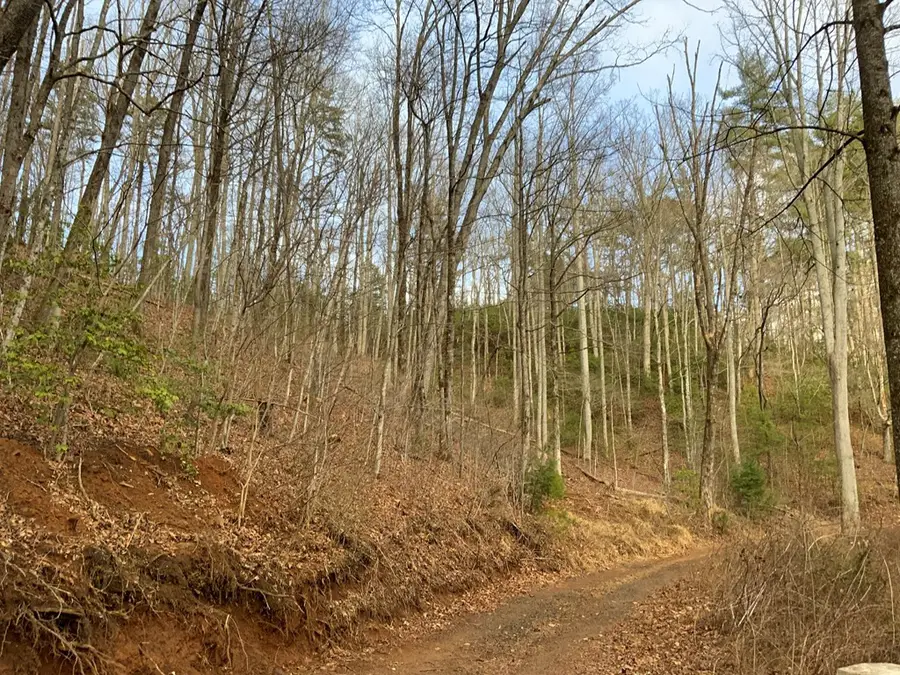 Lot 5 Ivy Log Road, Murphy, NC 28906 - #3