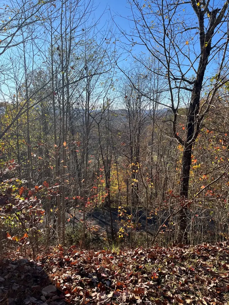 41 42 43 Ridges, Hayesville, NC 28904 - #3