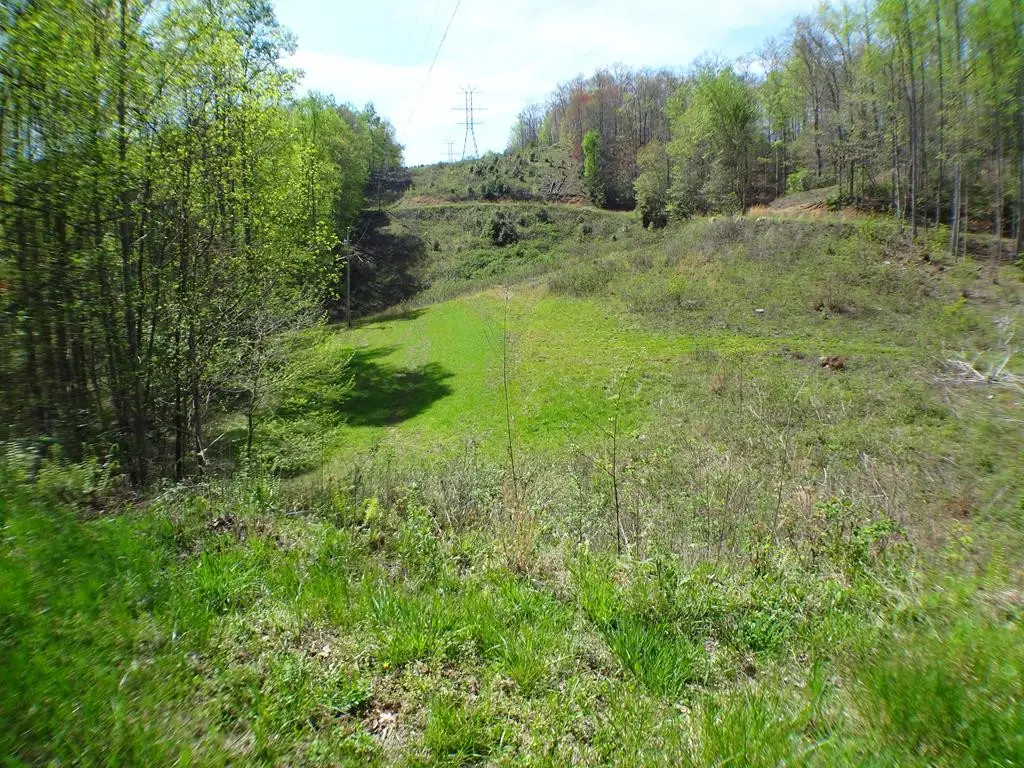 Lot10&11 Deweese Road, Topton, NC 28901 - #1