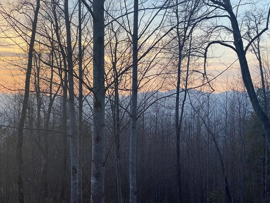 lot 40 Big Sky Drive, Murphy, NC 28906 - #2