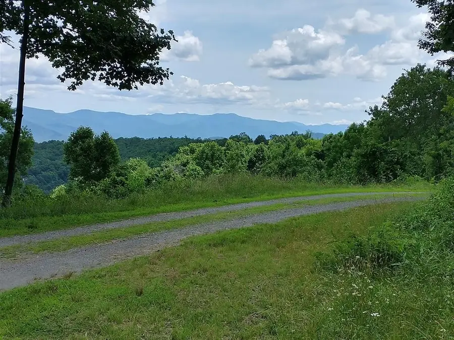 Tract 2G Mason Lane, Brasstown, NC 28902 - #2