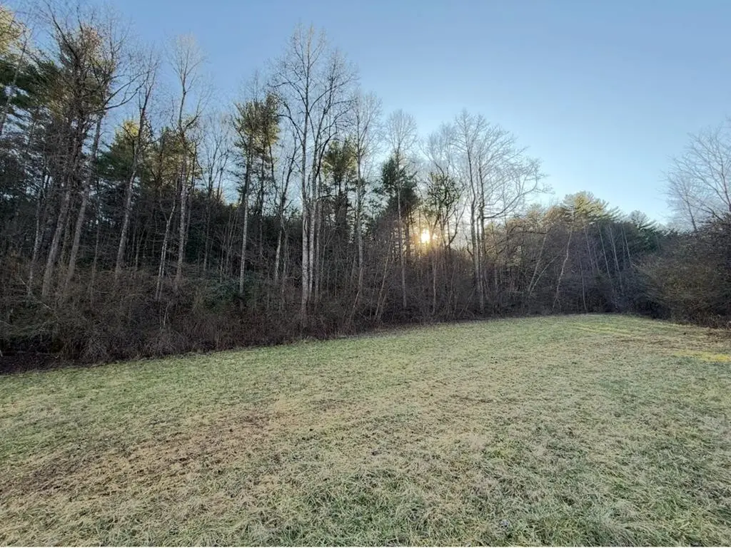 TBD Grape Creek Road, Murphy, NC 28906 - #1