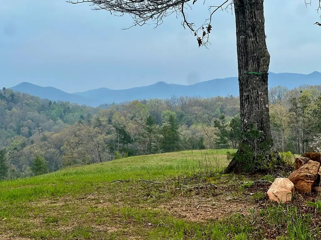TR 47 Majestic Mountain Trail, Murphy, NC 28906 - #1