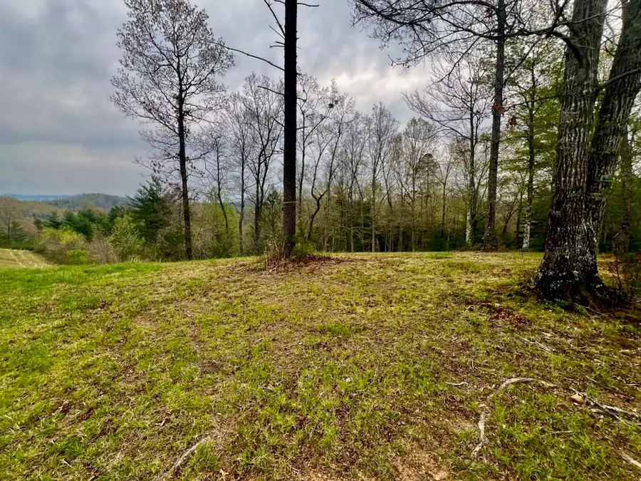 TR 47 Majestic Mountain Trail, Murphy, NC 28906 - #2