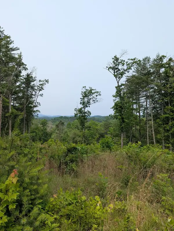 00 Martin Road, Murphy, NC 28906
