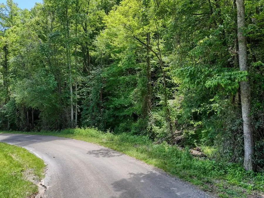 779 Grindstone Road, Murphy, NC 28906 - #2