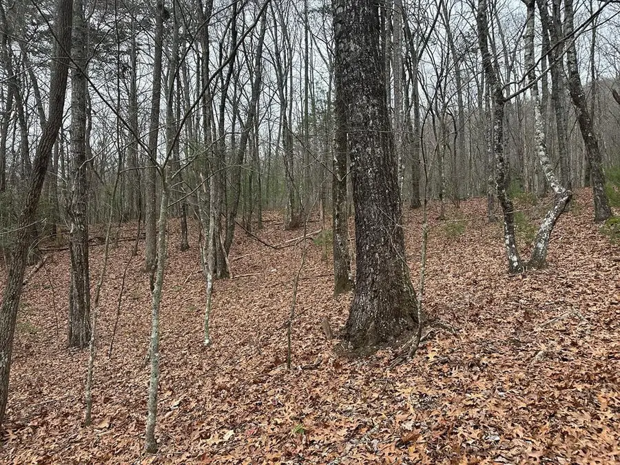 00 Marrestop, Murphy, NC 28906 - #2