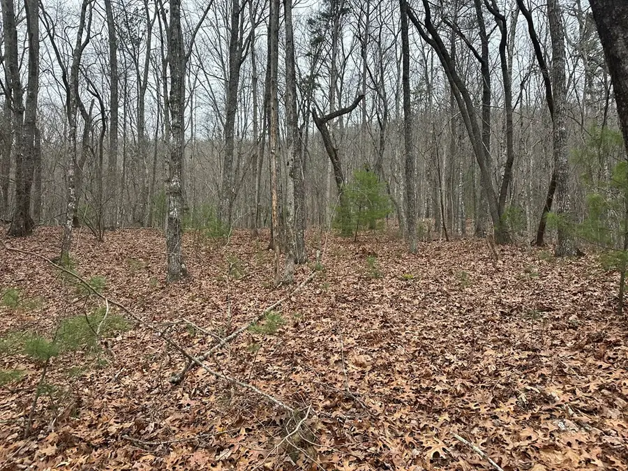 00 Marrestop, Murphy, NC 28906 - #3