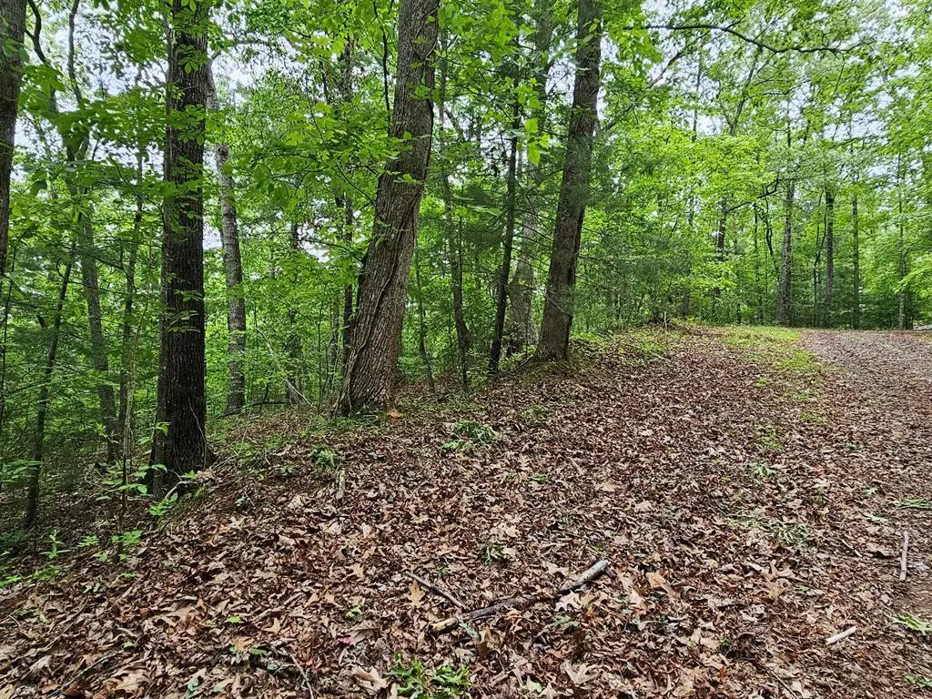 6 Heather Lane, Murphy, NC 28906 - #1