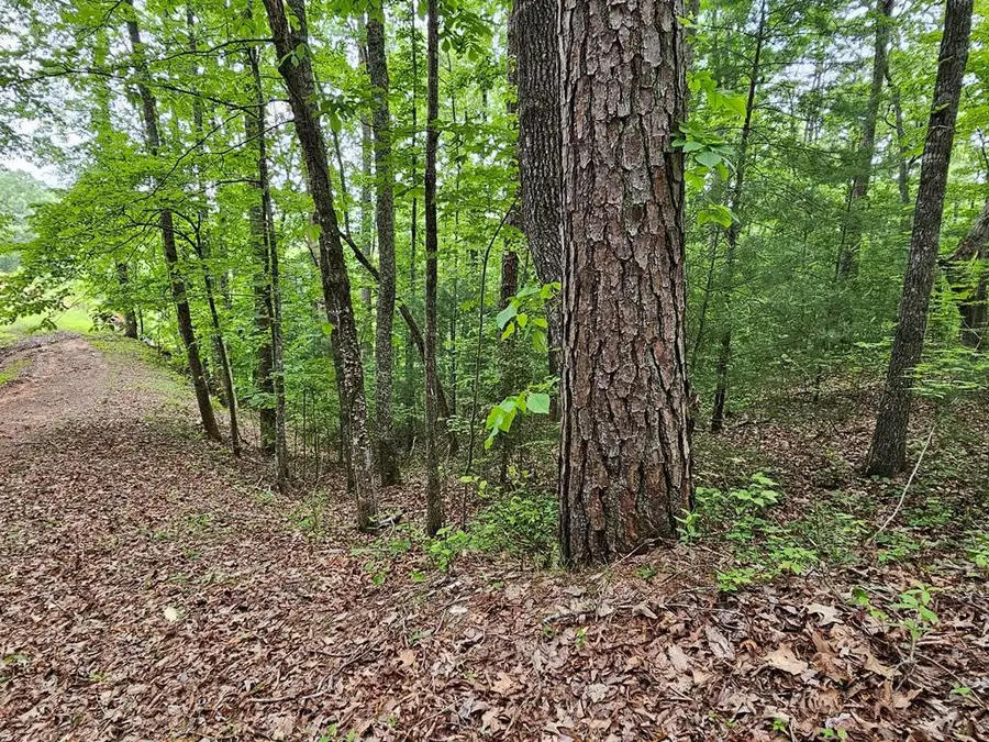6 Heather Lane, Murphy, NC 28906 - #2