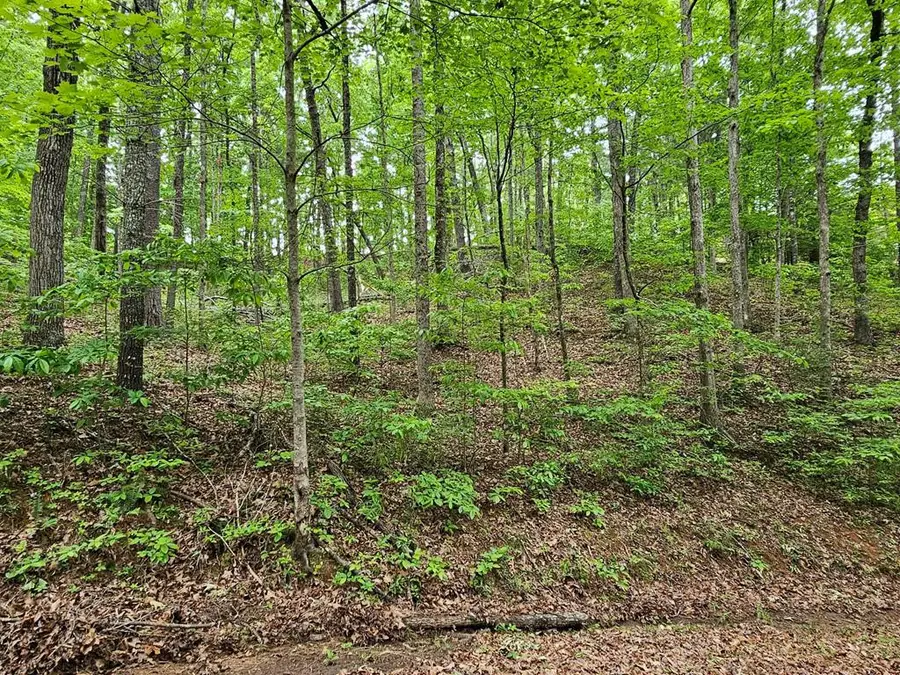 6 Heather Lane, Murphy, NC 28906 - #3