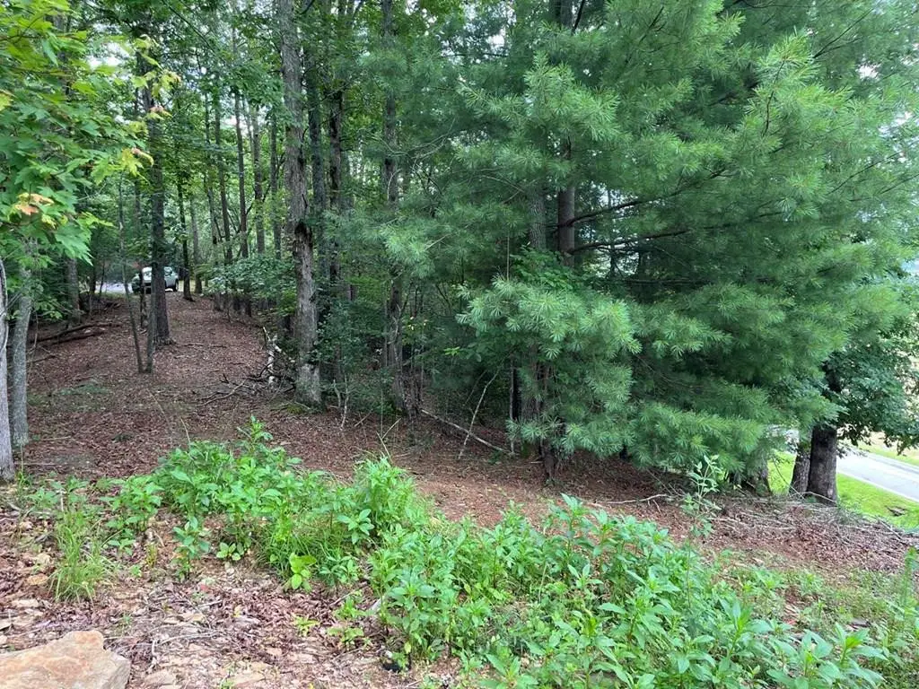 71 Martin Hills Drive, Murphy, NC 28906 - #1