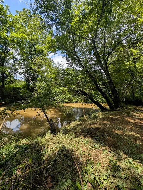 1.0 Ac Old Highway 64 W, Warne, NC 28909