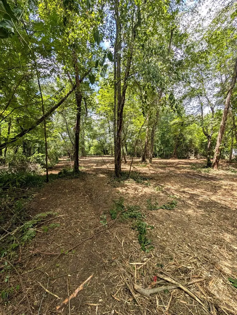 1.0 Ac Old Highway 64 W, Warne, NC 28909 - #3
