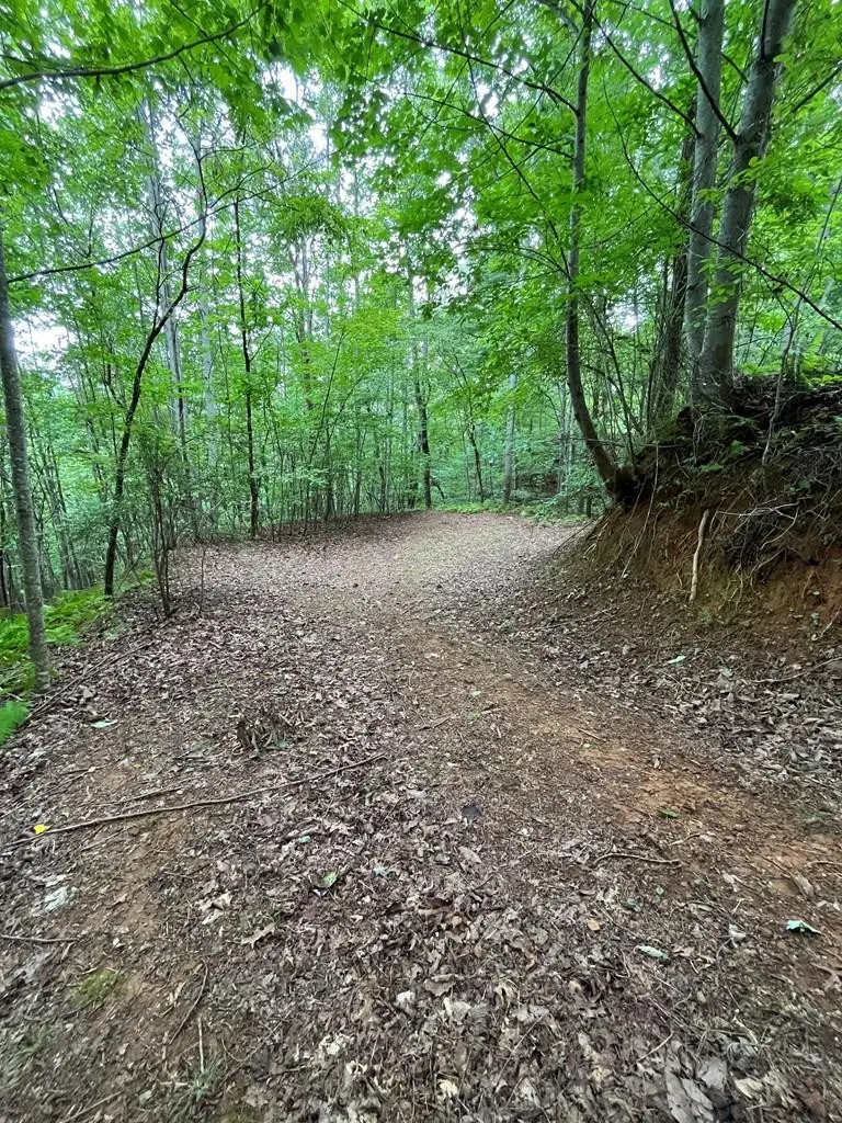 Lt 527-3 Farmers Top Drive, Murphy, NC 28906 - #1
