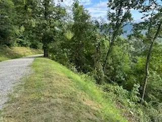 Lot 30 Hickory Cove Road, Bryson City, NC 28713 - #2