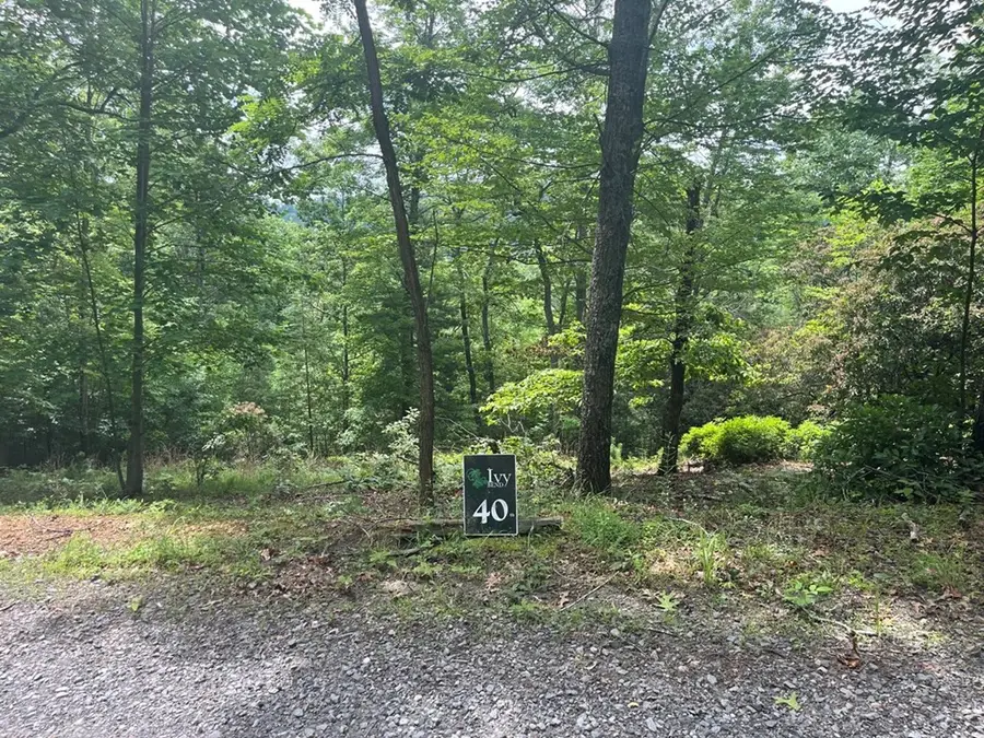 lot 40 Burger Road, Murphy, NC 28906 - #2