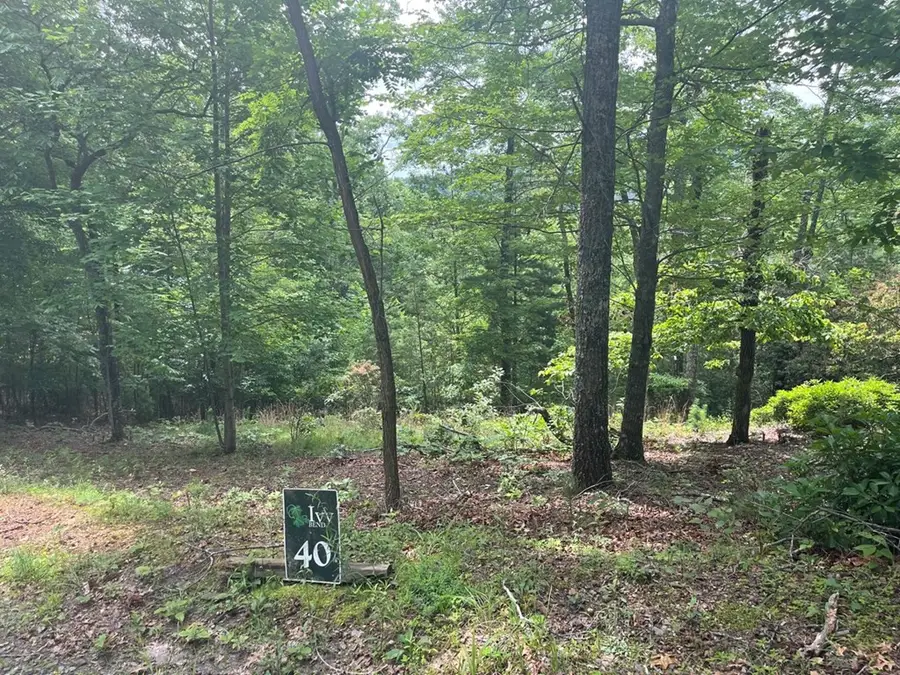 lot 40 Burger Road, Murphy, NC 28906 - #3