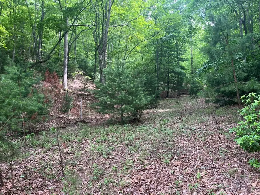 Lot 64 Cirrus Drive, Murphy, NC 28906 - #3