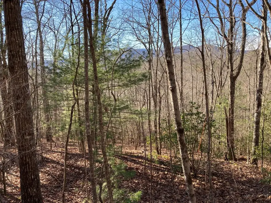 Lot 31 High Ridge Road, Murphy, NC 28906 - #2