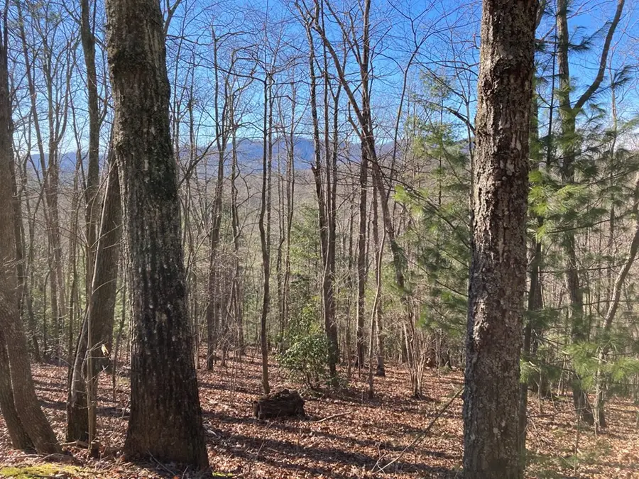 Lot 31 High Ridge Road, Murphy, NC 28906 - #3