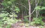 00 Lady Lane, Murphy, NC 28906 - #2