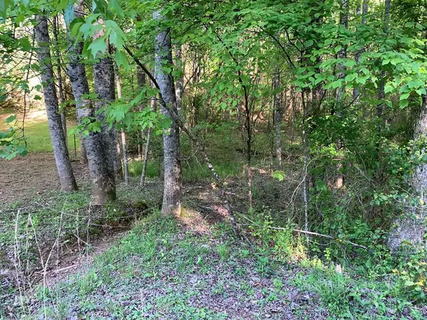 4 Hunter Valley Road, Murphy, NC 28906