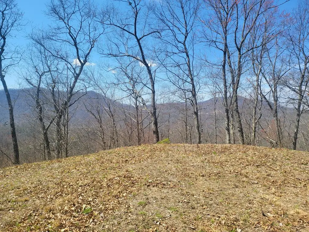 SR 1229 Dry Creek, Robbinsville, NC 28771 - #1