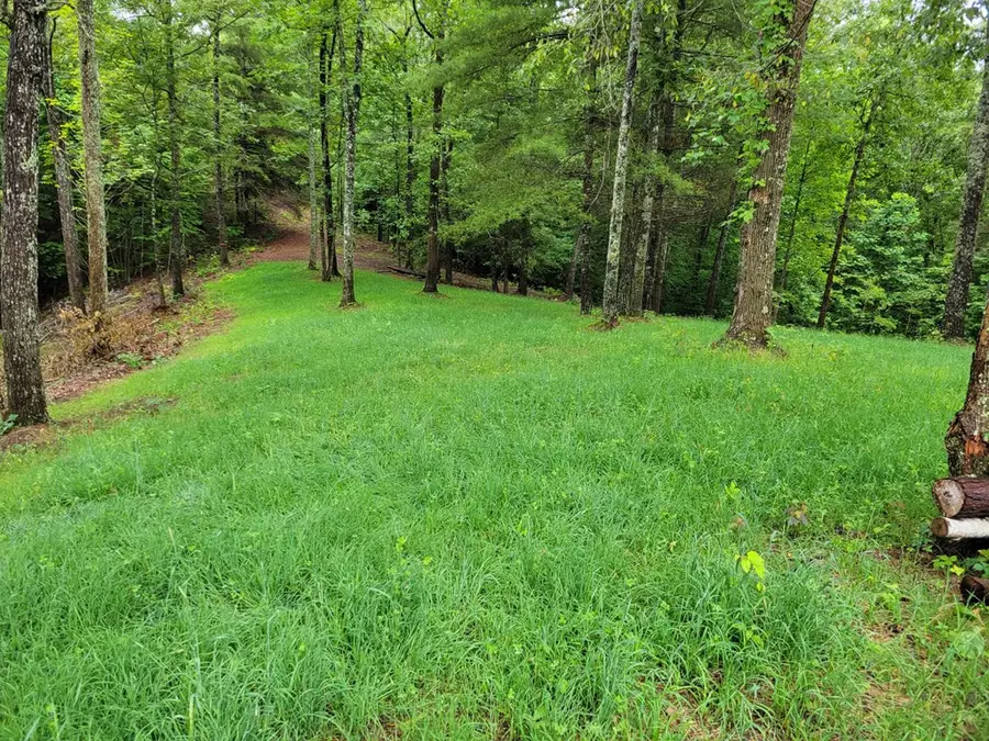 TR1-22 Majestic Mountain Trail, Murphy, NC 28906 - #2