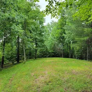 TR1-22 Majestic Mountain Trail, Murphy, NC 28906 - #3