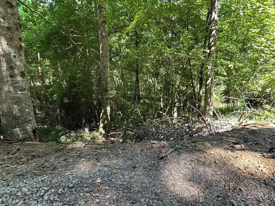 00 Choctaw Ridge Trail, Murphy, NC 28906 - #2