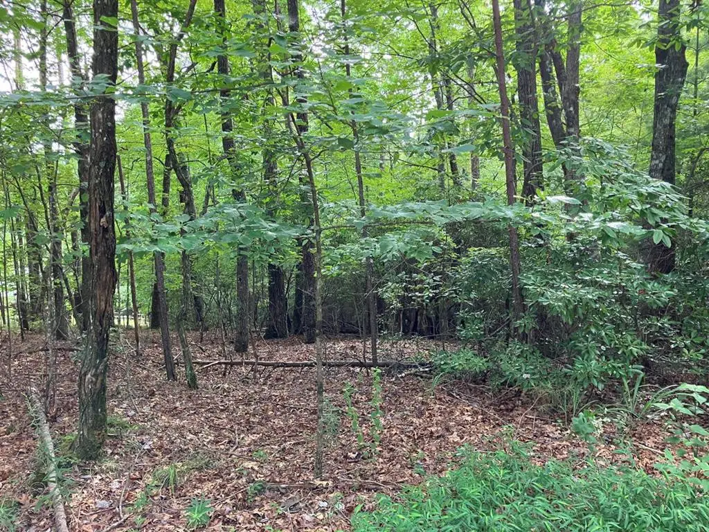 Lt 41 Floris, Murphy, NC 28906 - #1