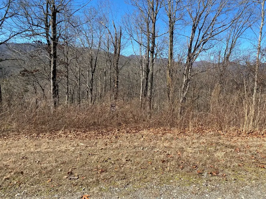 Lot 42 Silo View, Marble, NC 28905 - #2