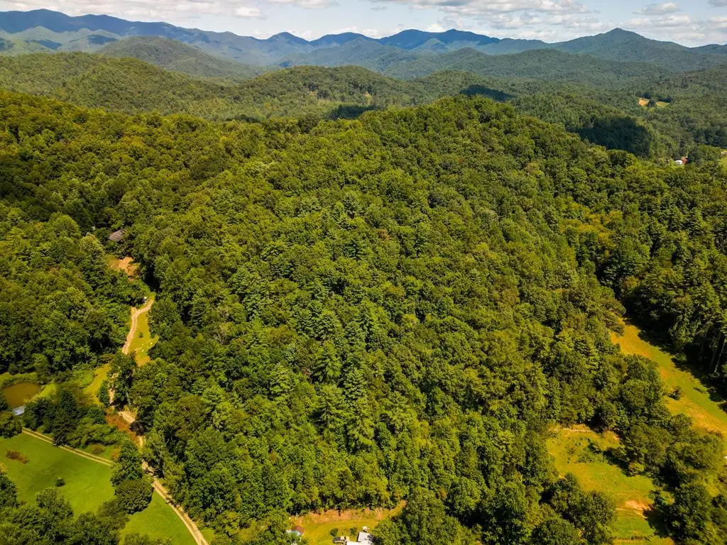 TBD Pet Lane, Murphy, NC 28906 - #1