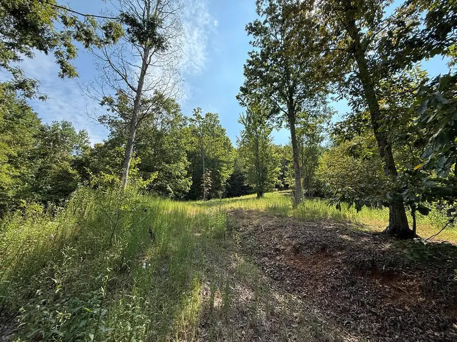 0 Madison Lane, Brasstown, NC 28902 - #2