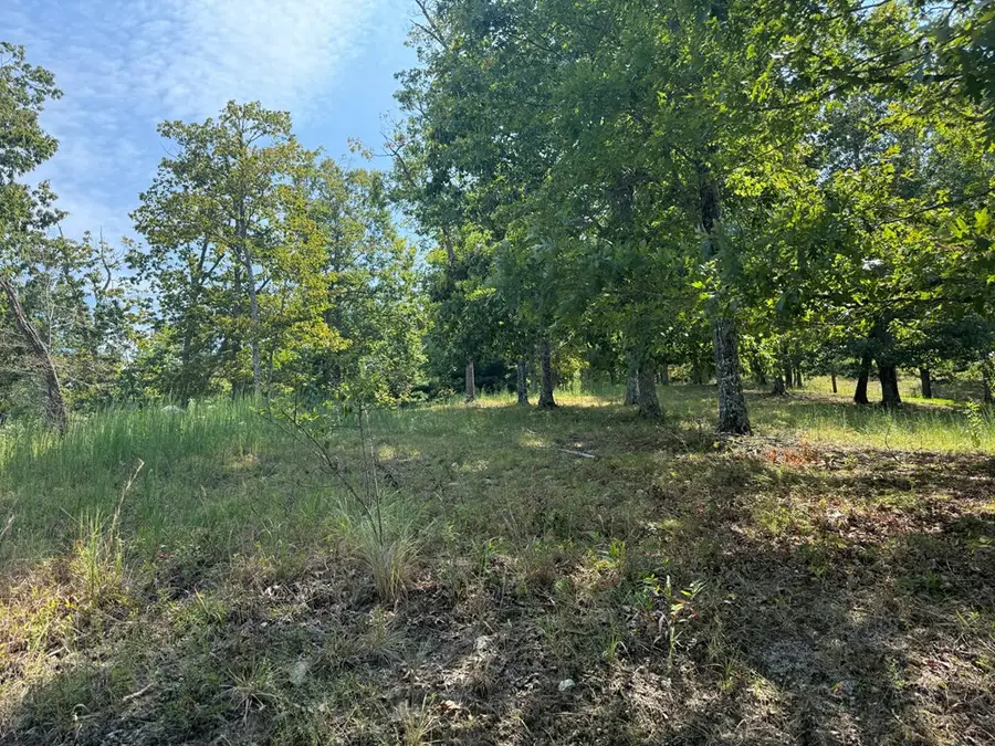 0 Madison Lane, Brasstown, NC 28902 - #3