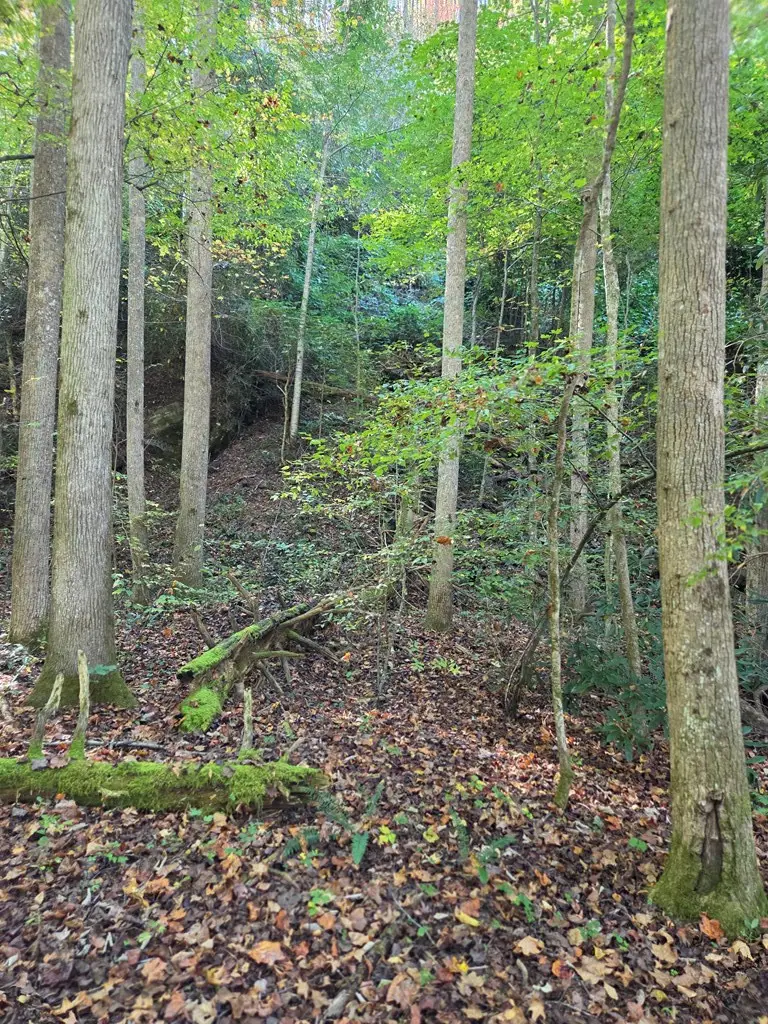 0 Lords Way, Andrews, NC 28901 - #2
