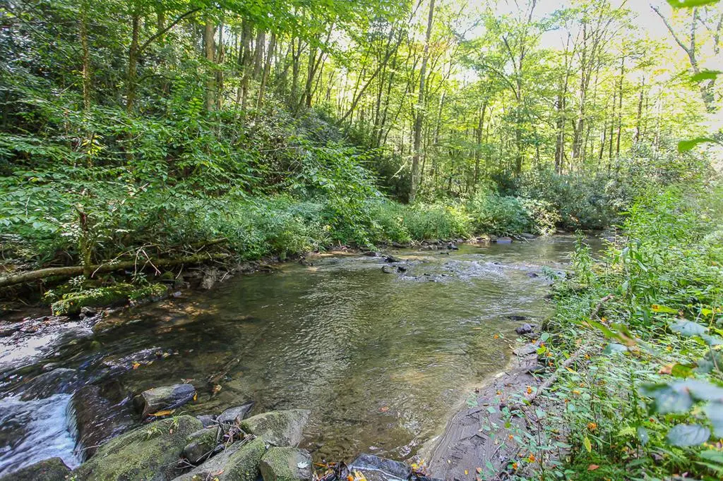 9765 Little Snowbird Road, Robbinsville, NC 28771 - #1