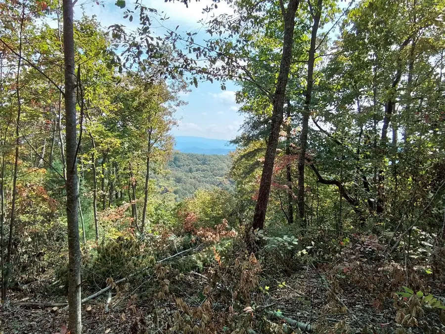 End of Tanglewood Ridge, Murphy, NC 28906 - #3