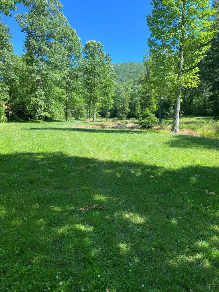 00 Deer Run, Robbinsville, NC 28771 - #2