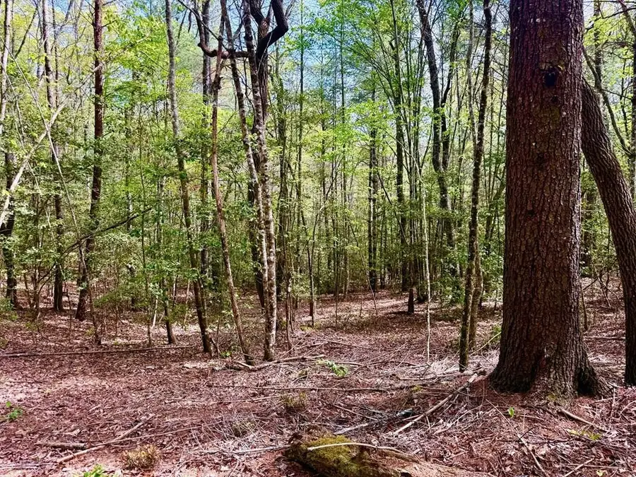 2.07 Ac Rainy Farm Road, Murphy, NC 28906 - #2