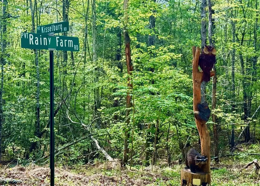 2.07 Ac Rainy Farm Road, Murphy, NC 28906 - #3