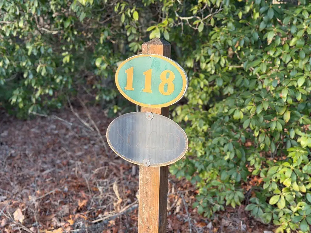 Lot #118 Royal View Landing, Murphy, NC 28906 - #1